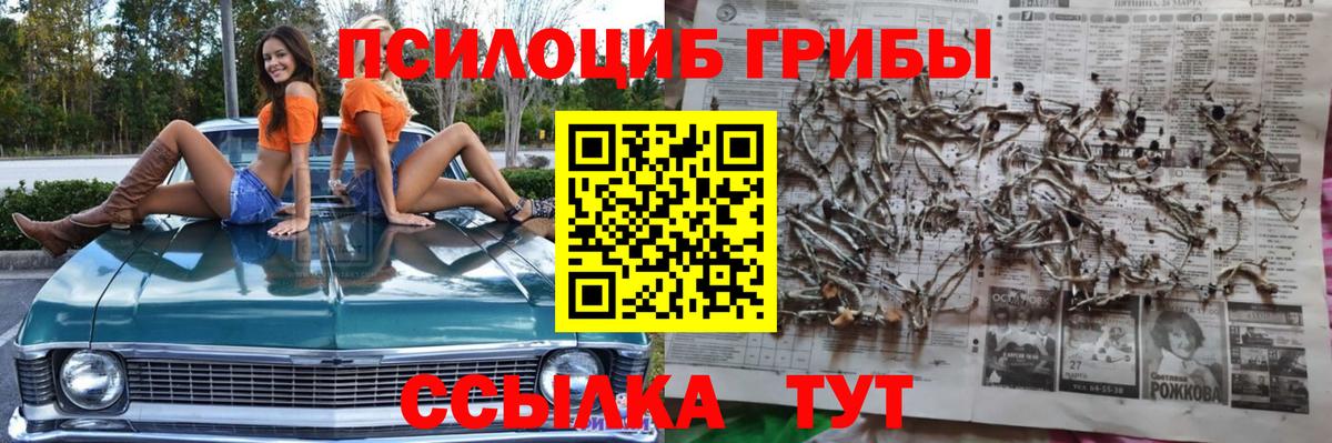 Галлюциногенные грибы мицелий Корсаков