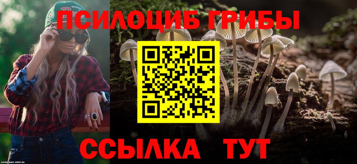 Псилоцибиновые грибы ЛСД Корсаков