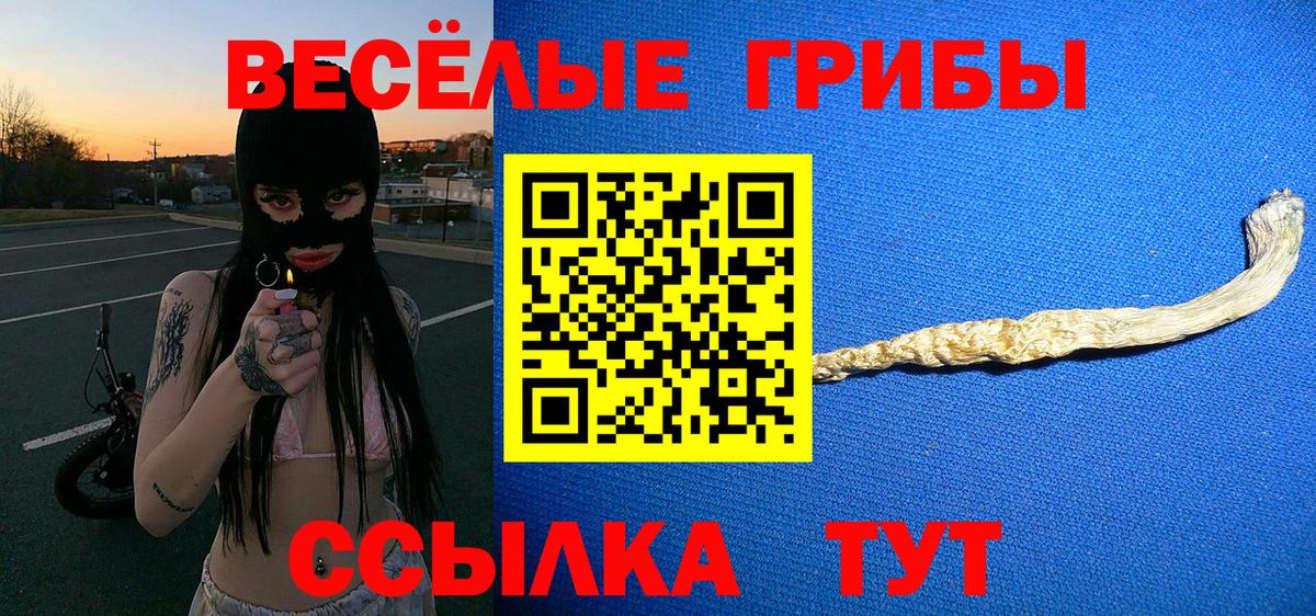 Псилоцибиновые грибы Psilocybe  Галлюциногенные грибы Cubensis  Корсаков  Вход с VPN 