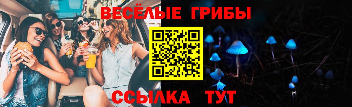 Галлюциногенные грибы Psilocybe  Корсаков 